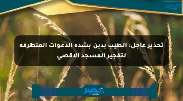 تحذير عاجل: الطيب يدين بشدة الدعوات المتطرفة لتفجير المسجد الأقصى